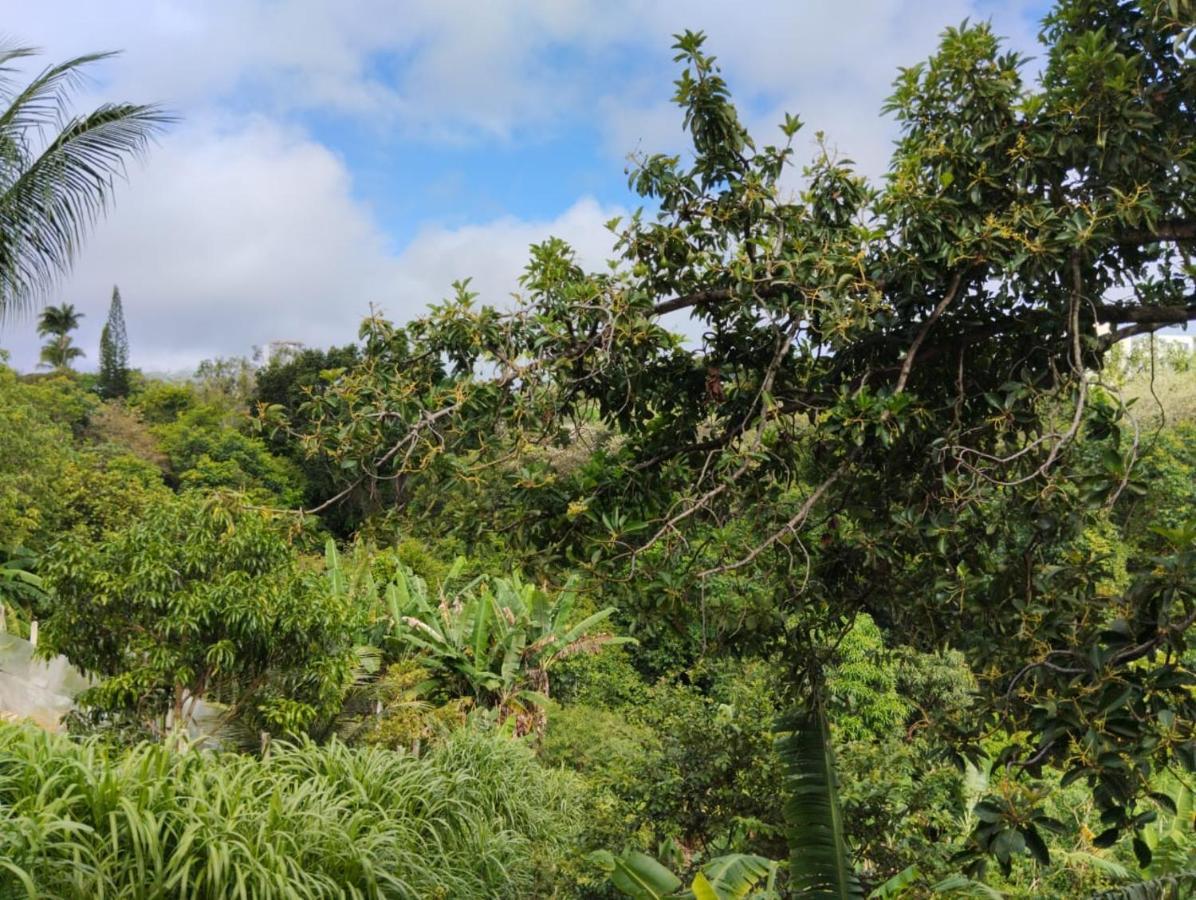 Apartamento Cercado Por Natureza E Diversao Maceió エクステリア 写真