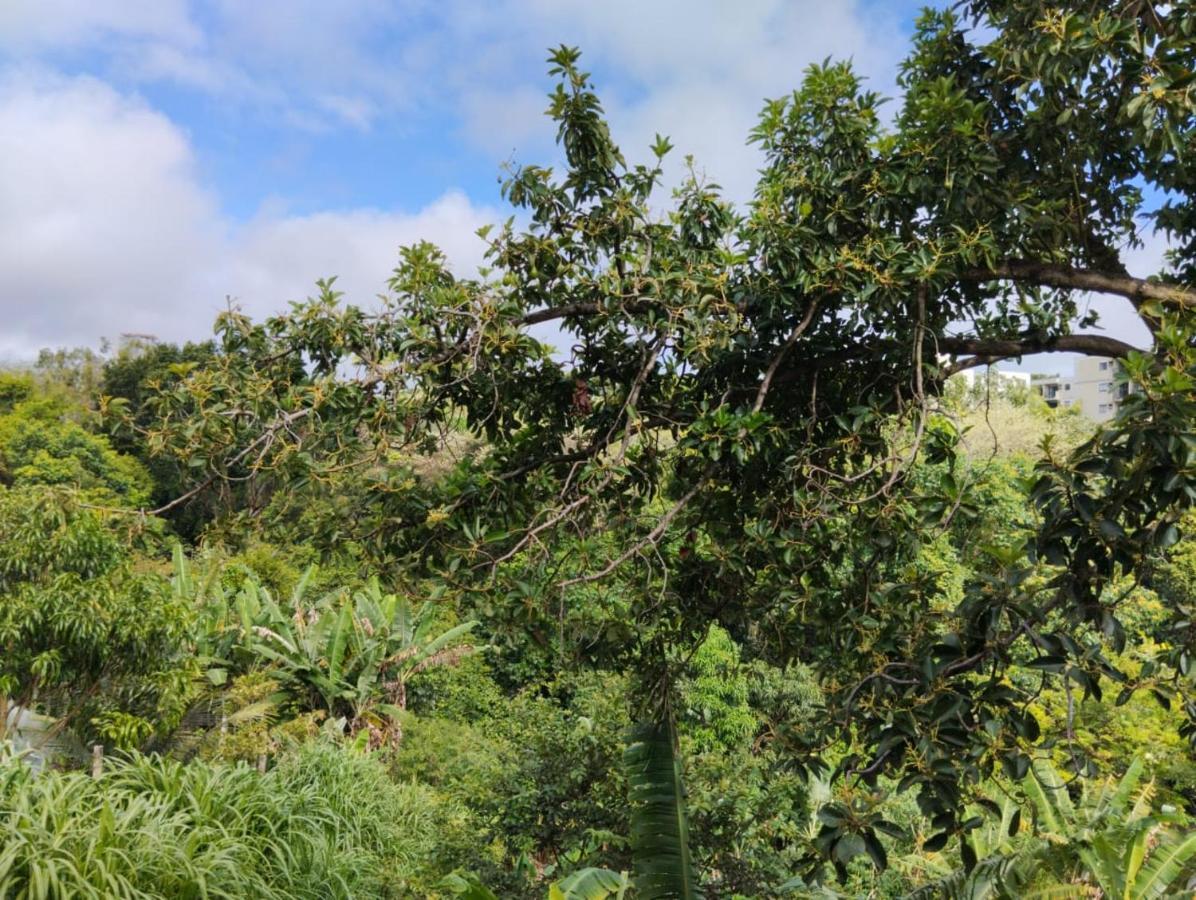 Apartamento Cercado Por Natureza E Diversao Maceió エクステリア 写真